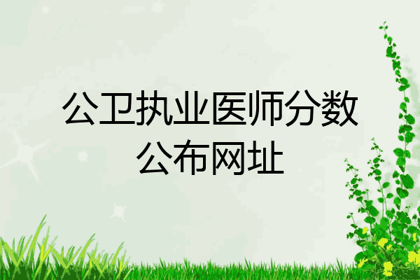 公卫执业医师分数公布网址