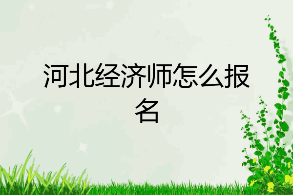 河北经济师怎么报名