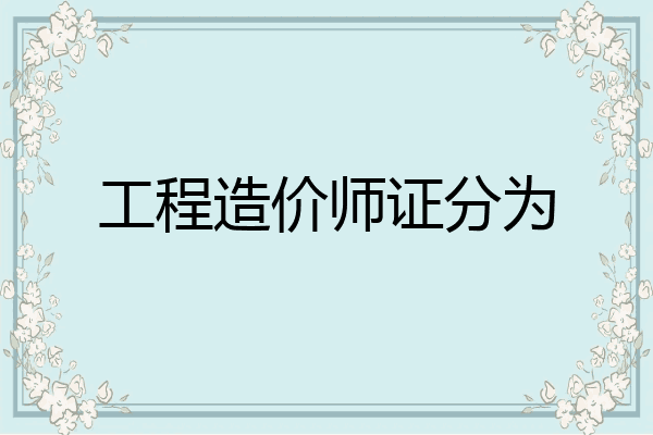 工程造价师证分为