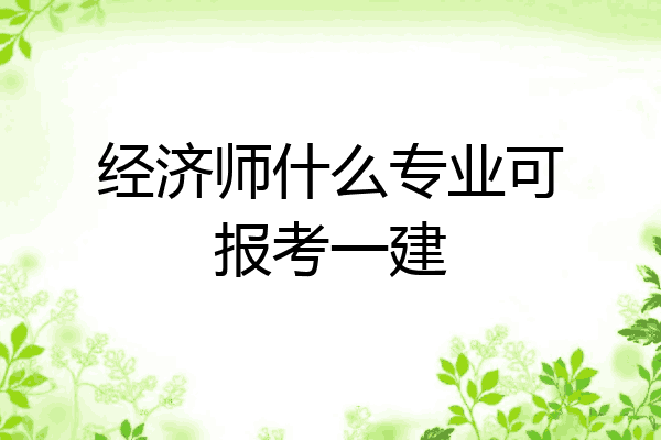经济师什么专业可报考一建