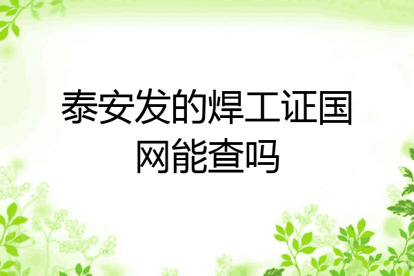 泰安发的焊工证国网能查吗