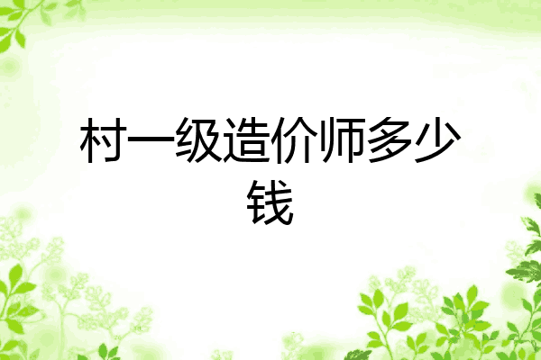 村一级造价师多少钱