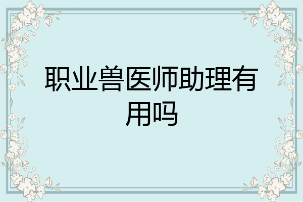 职业兽医师助理有用吗