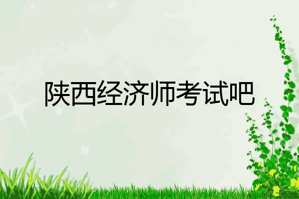 陕西经济师考试吧