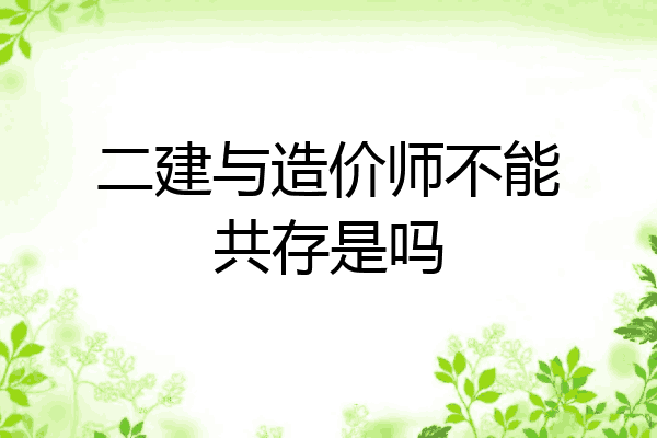 二建与造价师不能共存是吗