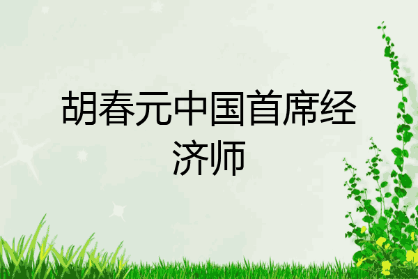 胡春元中国首席经济师