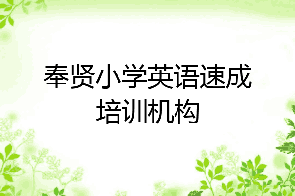 奉贤小学英语速成培训机构
