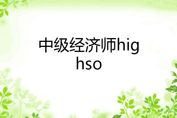 中级经济师highso