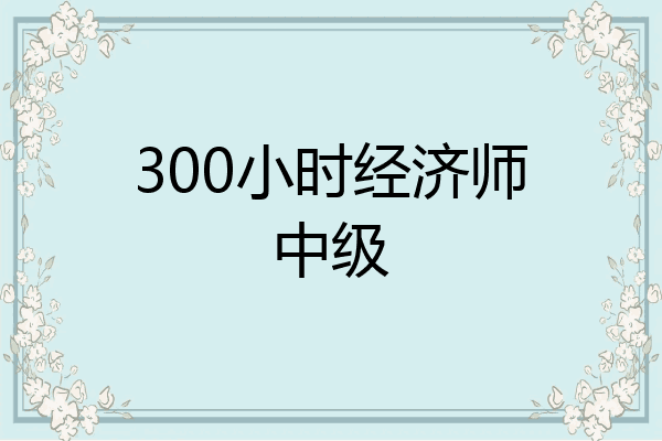 300小时经济师中级
