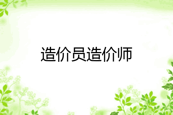 造价员造价师
