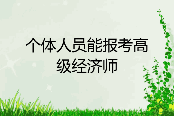 个体人员能报考高级经济师
