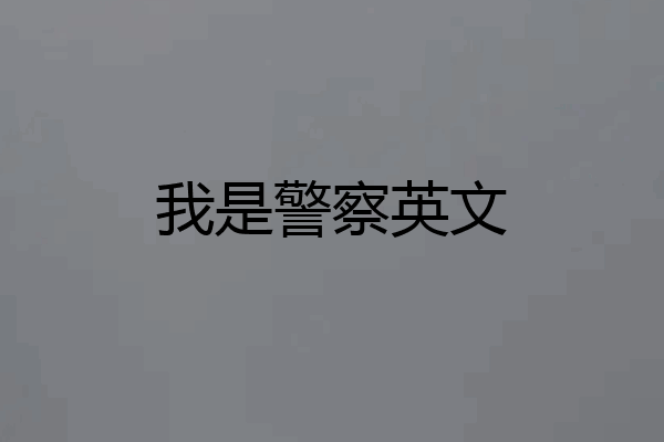 我是警察英文