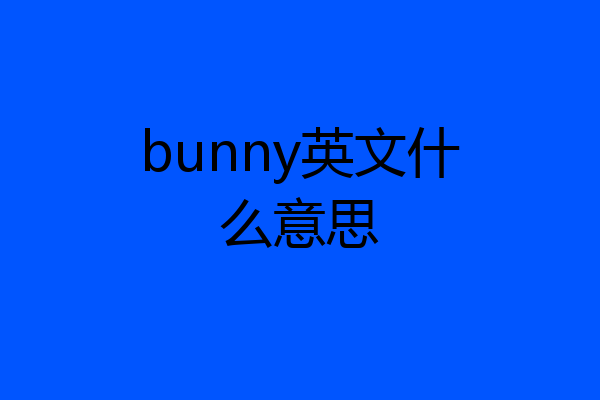 bunny英文什么意思