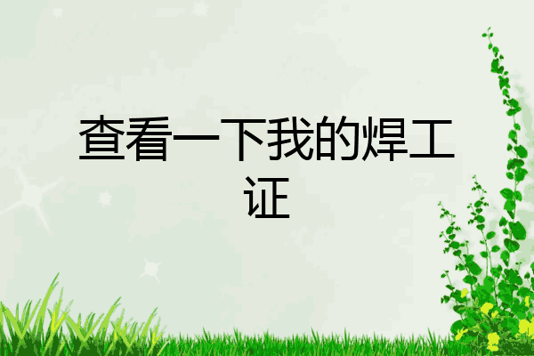 查看一下我的焊工证
