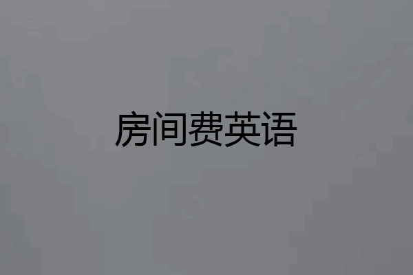 房间费英语