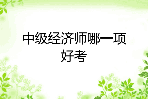 中级经济师哪一项好考