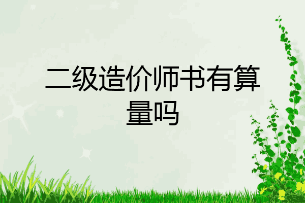 二级造价师书有算量吗