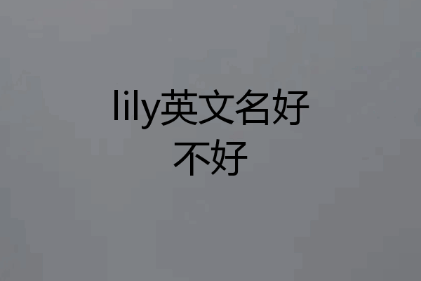 lily英文名好不好