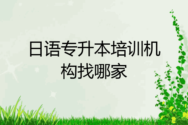 日语专升本培训机构找哪家