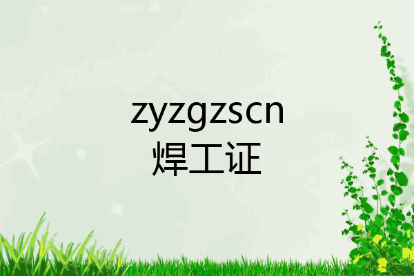 zyzgzscn焊工证