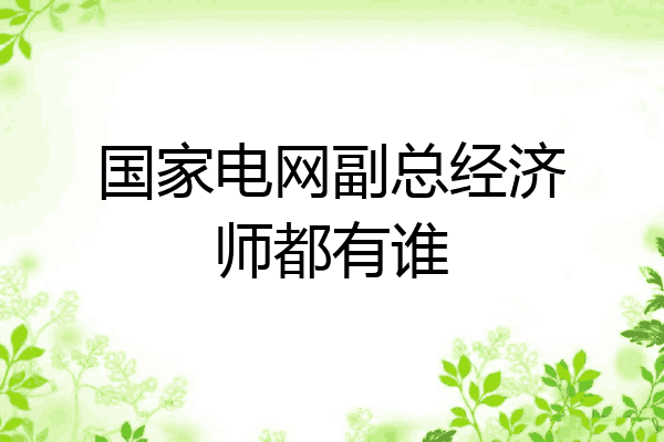 国家电网副总经济师都有谁