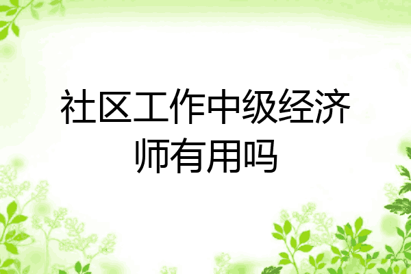 社区工作中级经济师有用吗