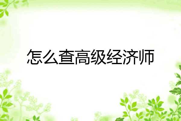 怎么查高级经济师