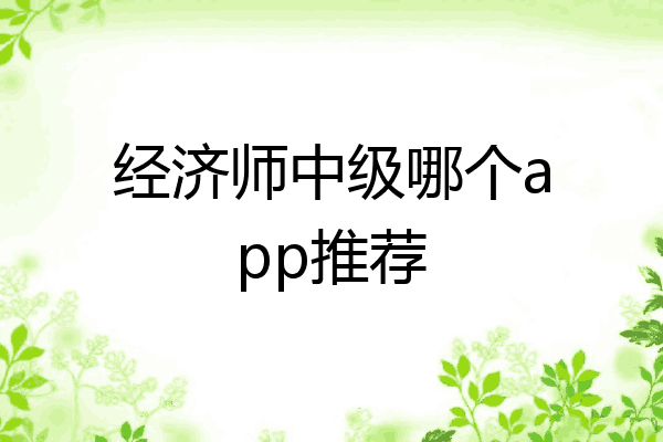 经济师中级哪个app推荐