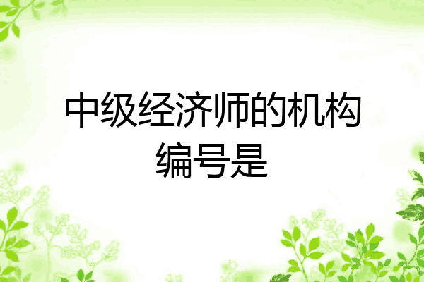 中级经济师的机构编号是