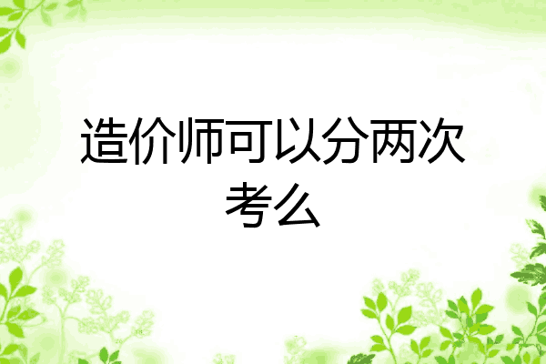 造价师可以分两次考么