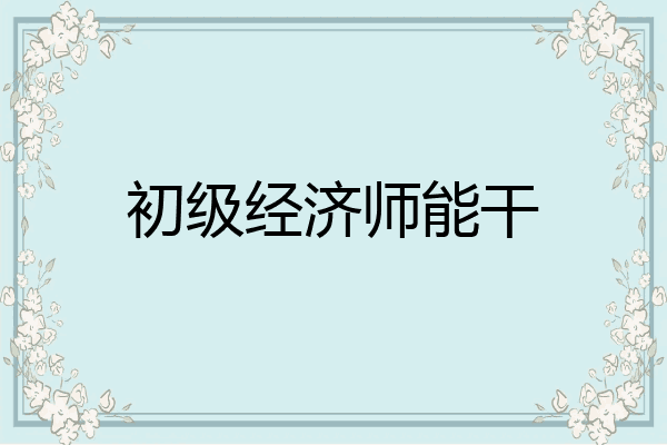 初级经济师能干