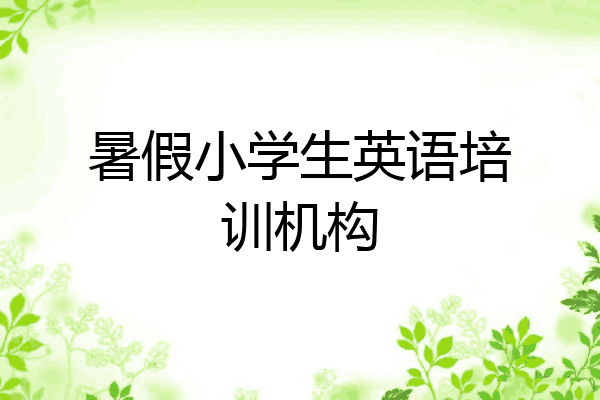 暑假小学生英语培训机构