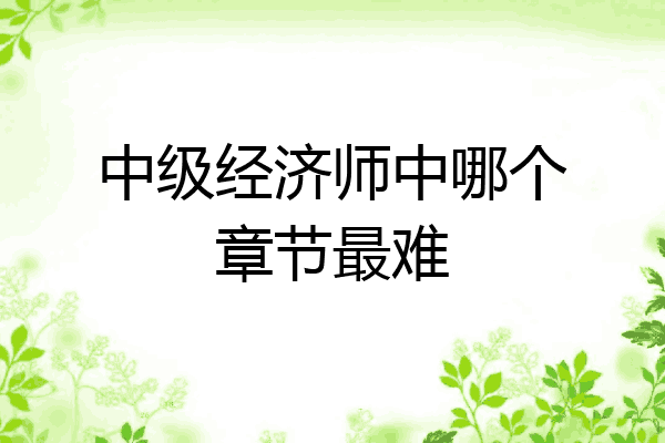 中级经济师中哪个章节最难