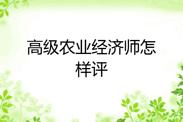 高级农业经济师怎样评