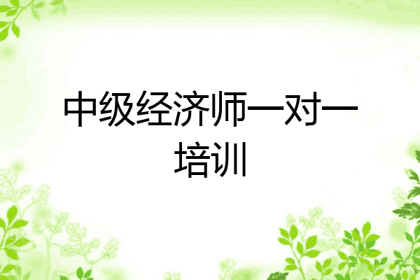 中级经济师一对一培训