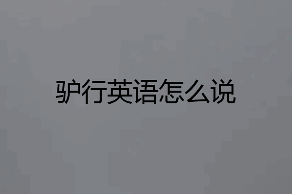 驴行英语怎么说