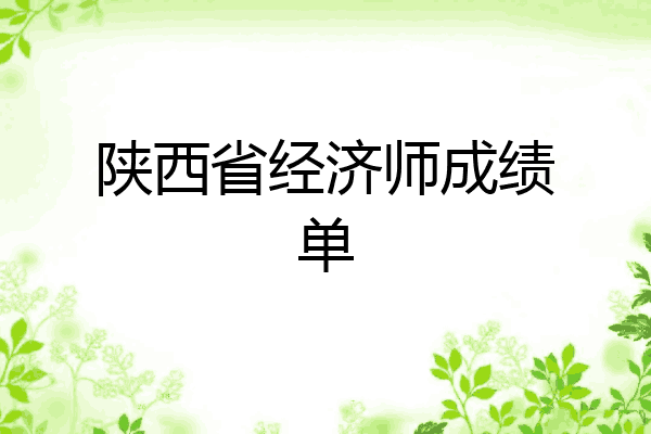陕西省经济师成绩单