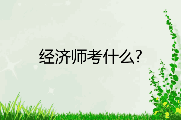 经济师考什么?