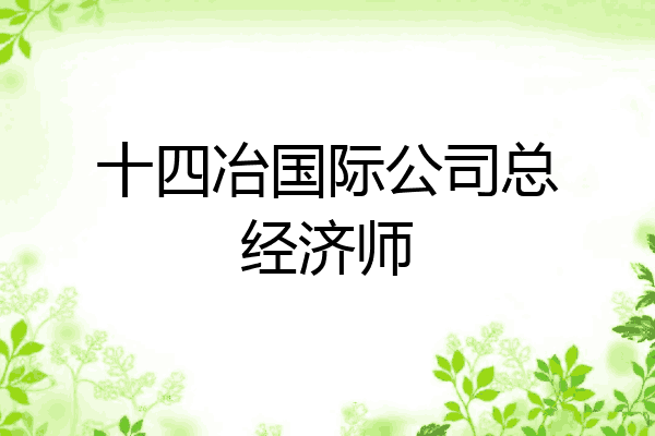 十四冶国际公司总经济师