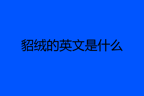 貂绒的英文是什么
