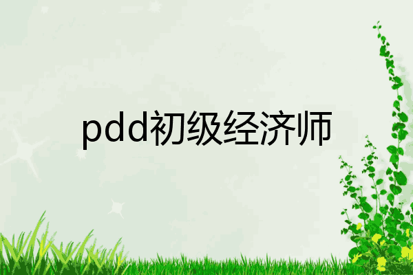 pdd初级经济师