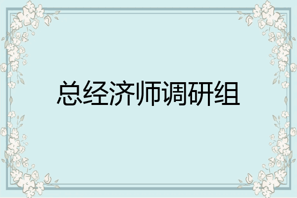 总经济师调研组