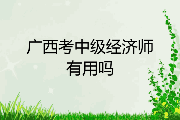 广西考中级经济师有用吗