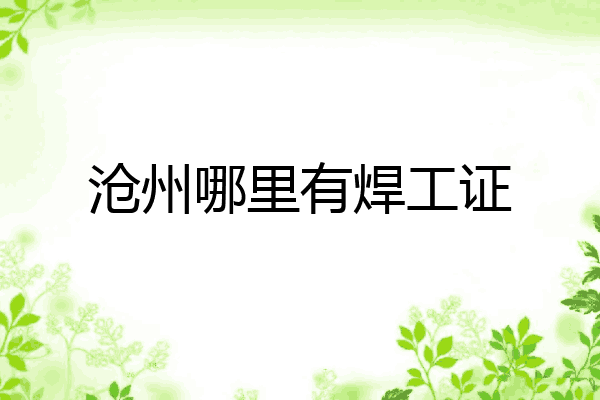 沧州哪里有焊工证