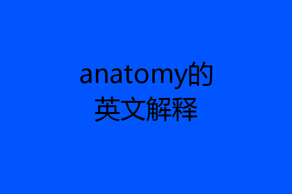 anatomy的英文解释