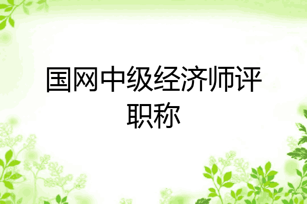 国网中级经济师评职称