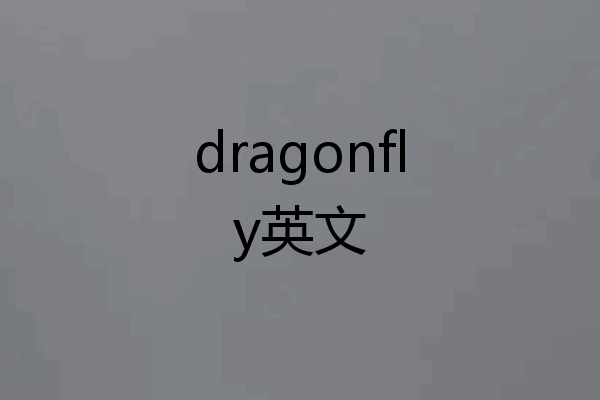 dragonfly英文