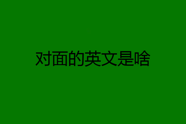 对面的英文是啥