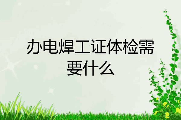 办电焊工证体检需要什么