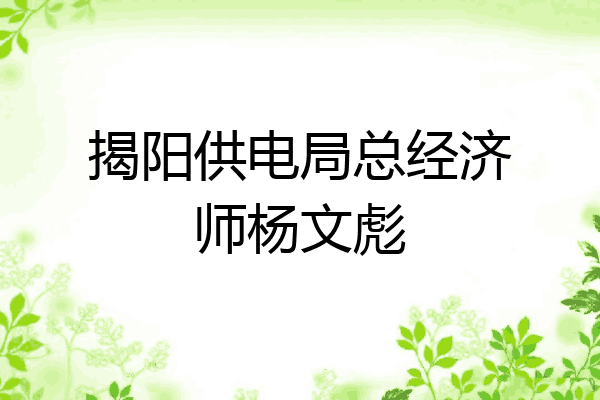 揭阳供电局总经济师杨文彪